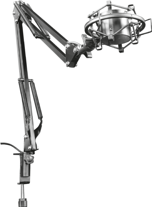 Actual product image Trust GXT 253 Emita Streaming microphone boom