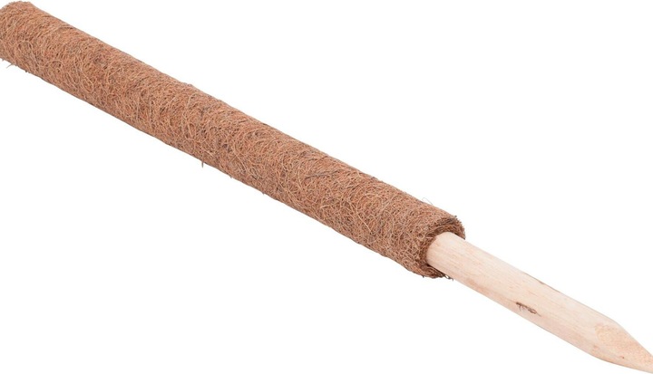 Immagine prodotto Windhager Pianta bastone di cocco (110 cm, 4.50 cm)