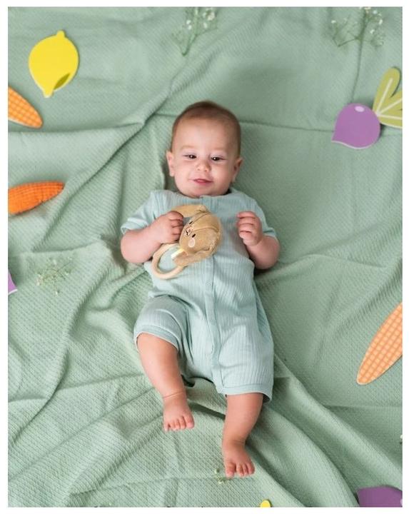 Image du produit Taf Toys Lapin Jenny