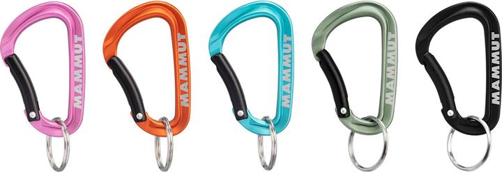 Actual product image Mammut Mini Carabiner Classic Keylock S