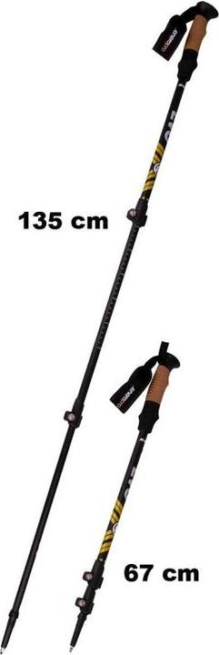 Actual product image NoName Nordic walking poles in a case
