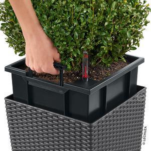 Image du produit Lechuza Cube Cottage (40 cm)