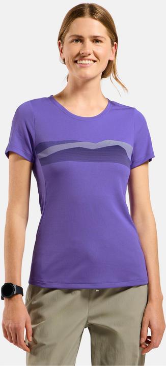 Actual product image Odlo F-Dry Ridgeline (L)