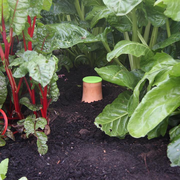 Produktbild Bio Green Hydro Max L (Tonkegel)