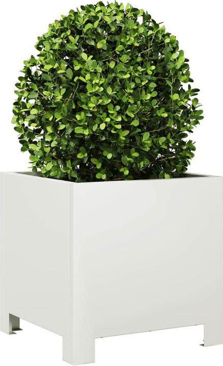 Immagine prodotto vidaXL Pflanzkübel