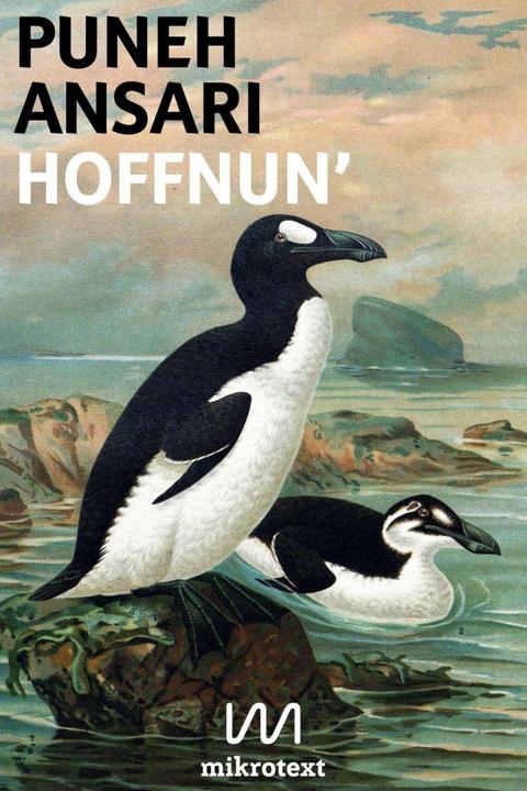 Produktbild Hoffnun' (Deutsch, Puneh Ansari, 2017)