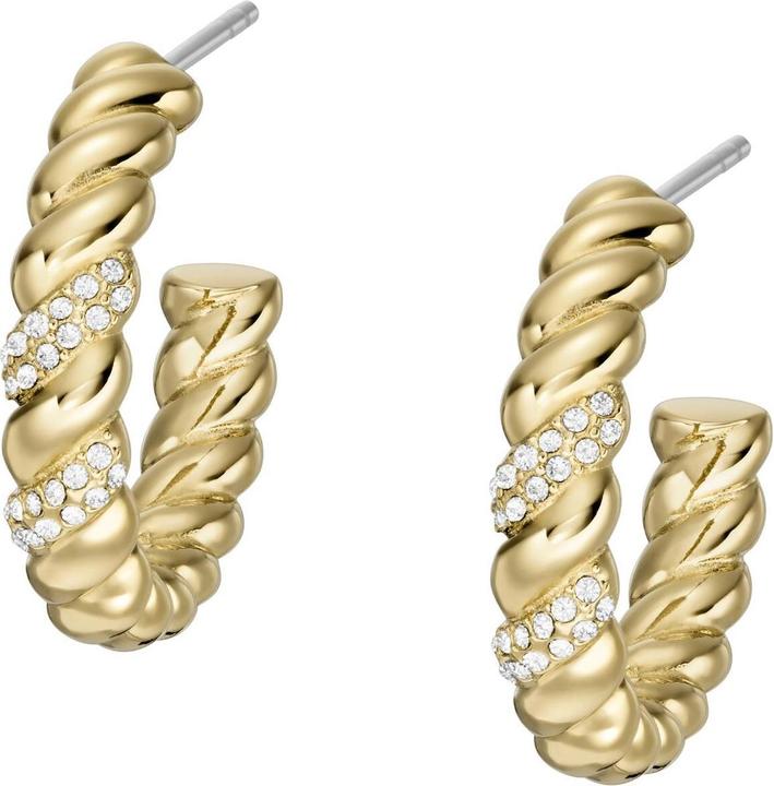 Image du produit Fossil Bijoux Boucles d'oreilles (Acier inoxydable)