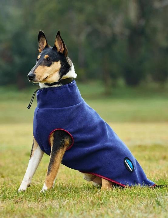 Weatherbeeta Comfitec (65, Dog coat)