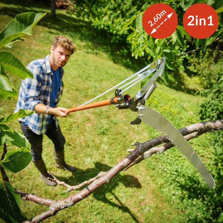 Immagine prodotto Deuba Sega per potatore