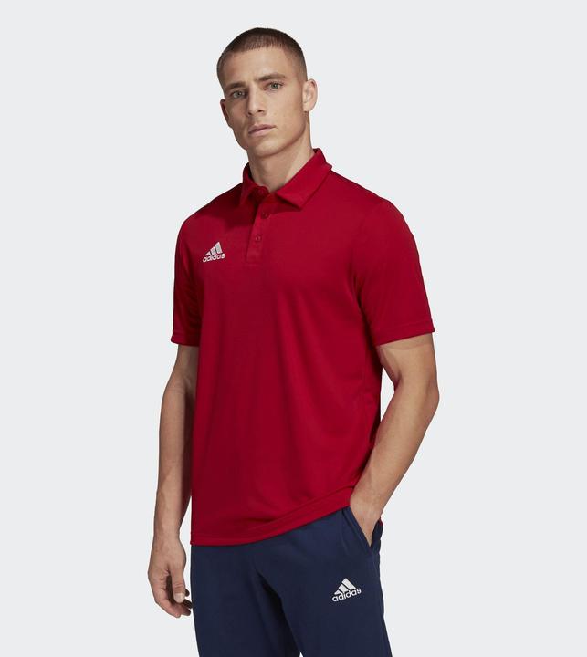 Immagine prodotto adidas Entrada 22 polo uomo (M)