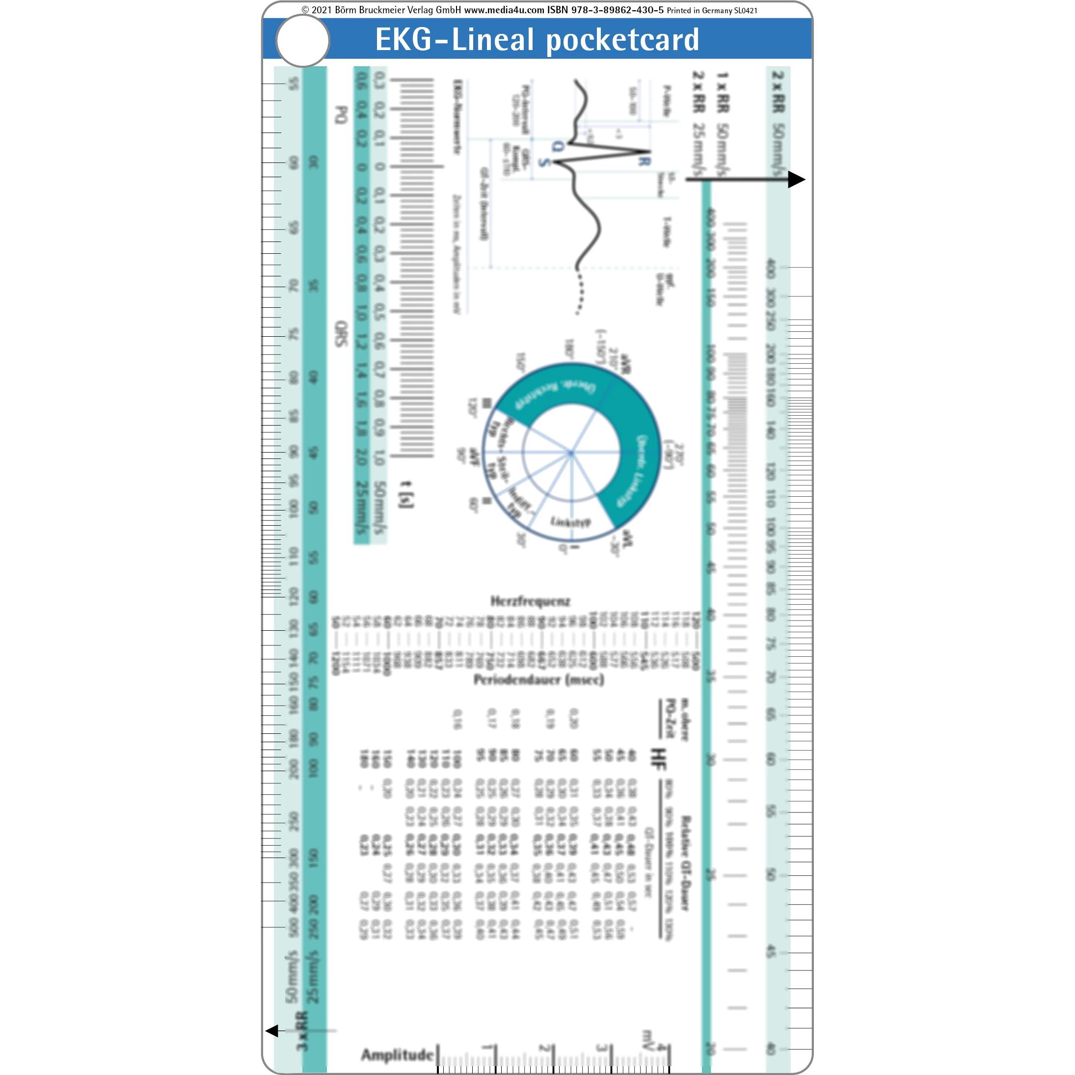 EKG-Lineal pocketcard, Fachbücher von Börm Bruckmeier