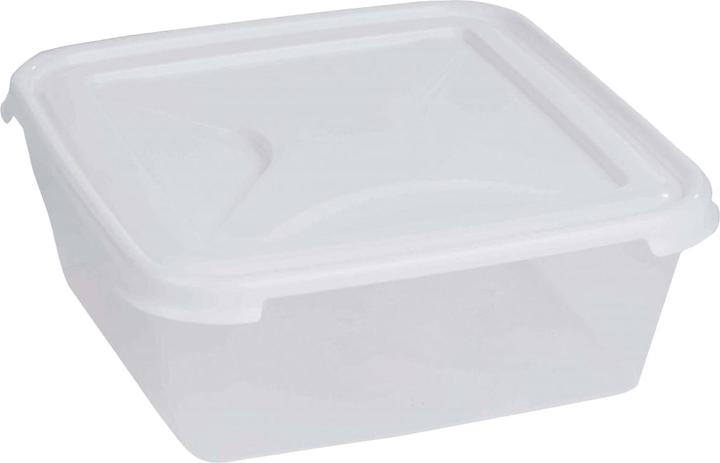 Wham Food Container Square