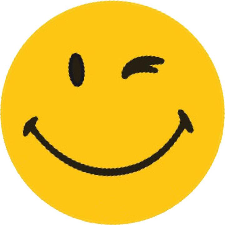 Image du produit Franken Aimants Smilies (8 x)