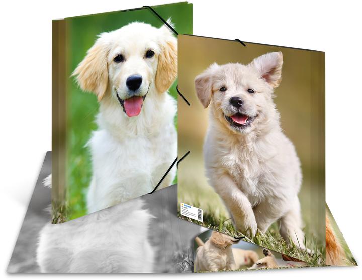 Image du produit HERMA Porte-documents A4 Motif (A4, 1 x)