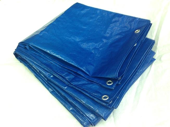 Image du produit Benson Bâche 1,5 x 2,5 m bleu profi