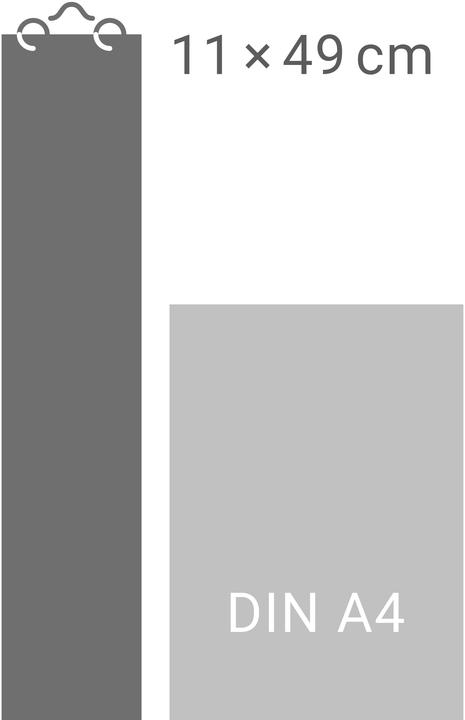 Actual product image Bunte Wochen Langplaner 2026 (11 x 49 cm, German)