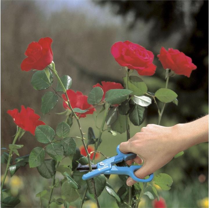 Produktbild Gardena Rosengreifschere