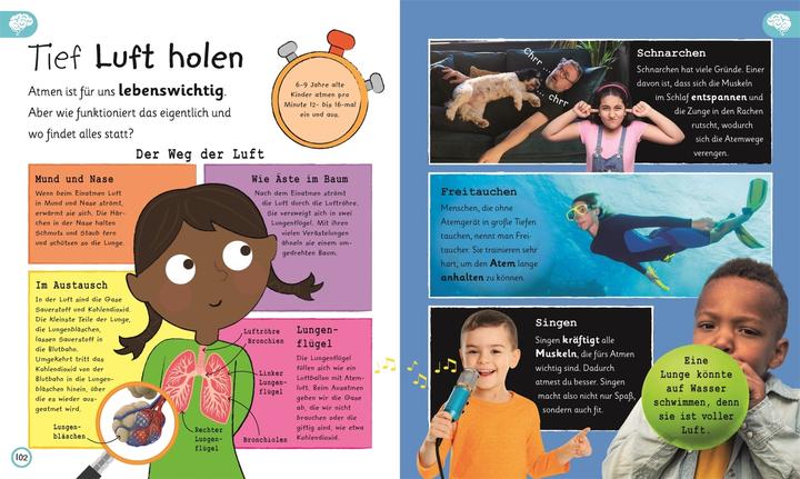 Produktbild Wissen für Vorschulkids Was weisst du über den Körper (Deutsch, Andrea Mills, Bipasha Choudhury, 2024)