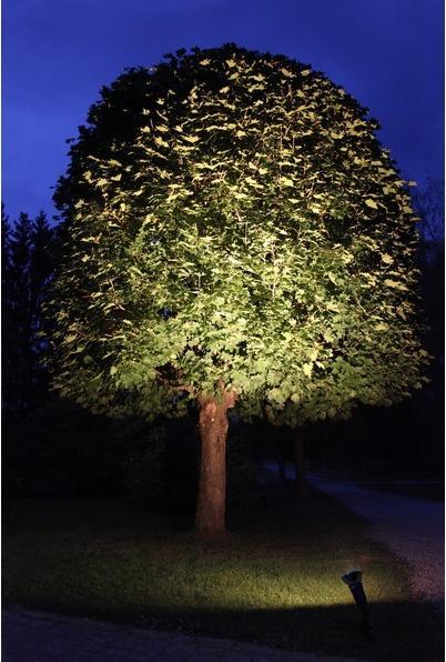 Image du produit Star Trading PAR38 (E27, 13 W, 900 lm, 1 x, G)