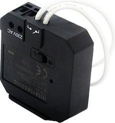 Immagine prodotto intertechno Doppio trasmettitore wireless ITS-23 (Attuatore dell'interruttore)