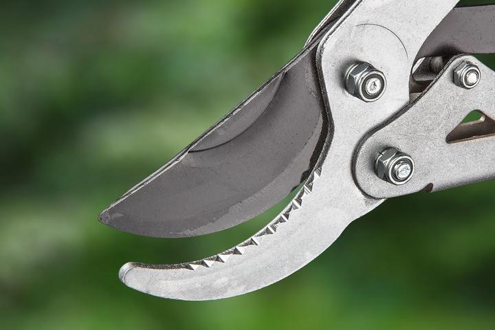 Produktbild Verto 258 Astschere Bypass