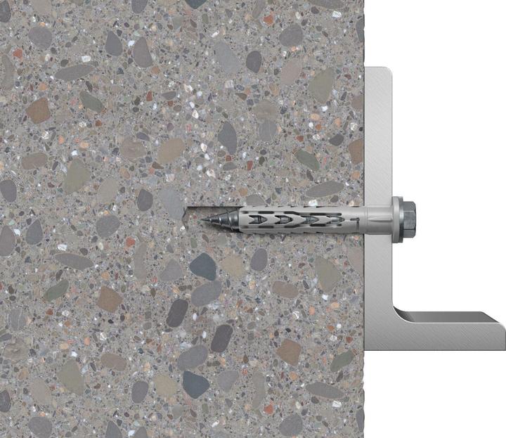 Actual product image Fischer Langschaftdübel SXR 10x80 FUS R (50 pcs.)