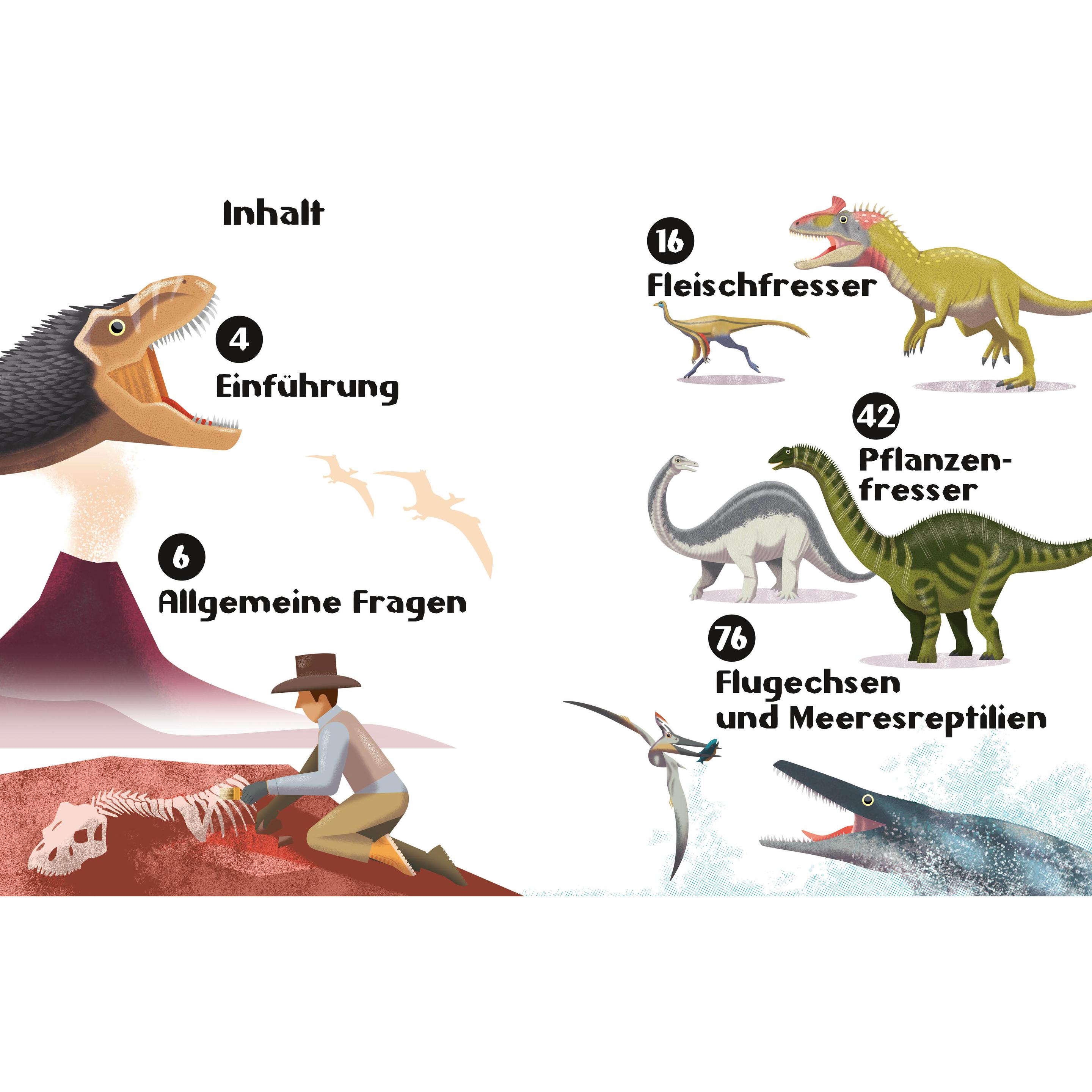 Banfi:Dinosaurier. Frage- und Antwortbu, Kinderbücher von Cristina Banfi