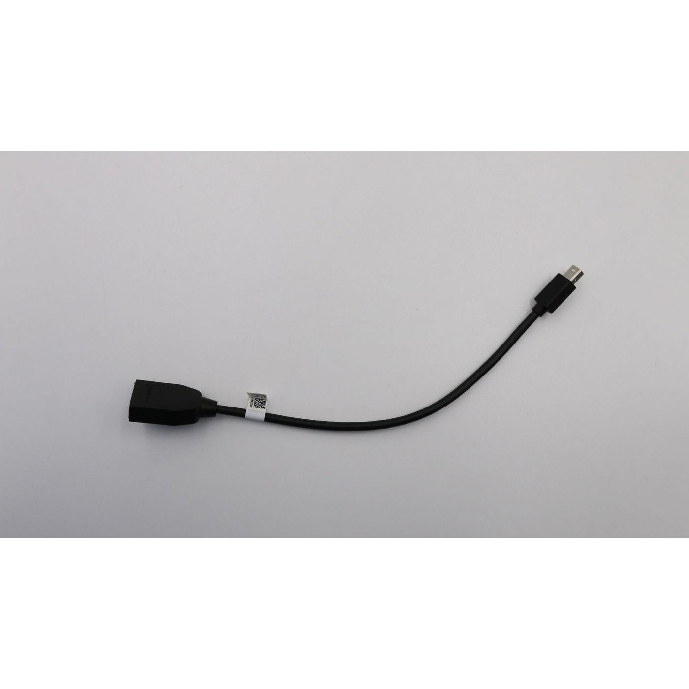 Thumbnail - Lenovo Cable 265 mm Mindp To DP, Notebook Ersatzteile