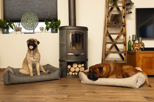 Immagine prodotto Beeztees Zia (Cane)