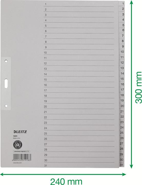 Image du produit Leitz Répertoire papier gris