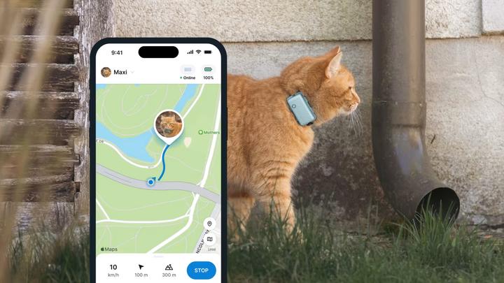 Immagine prodotto Tractive GPS Mini (Taglia unica, Gatto, Generale)