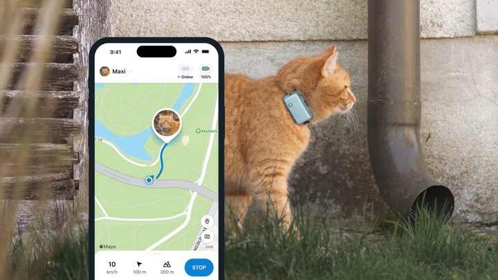 Immagine prodotto Tractive GPS Mini (Taglia unica, Gatto, Generale)