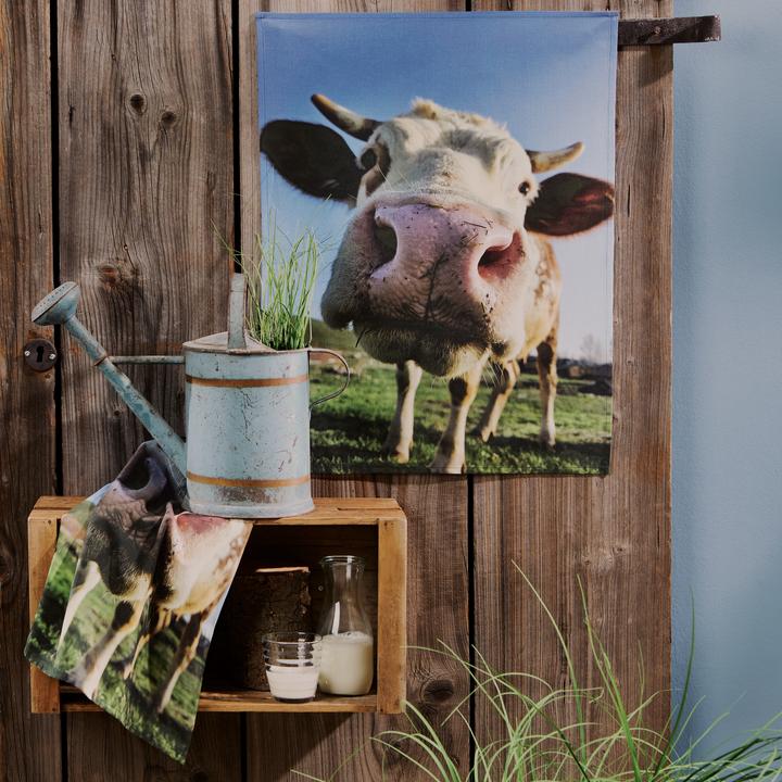 Produktbild Erwin Müller Geschirrtuch 2er-Pack (70 x 50 cm)