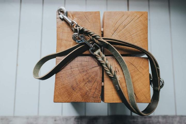 Actual product image Hunter Adjustable leash Solid Education (Dog, Dog sport)