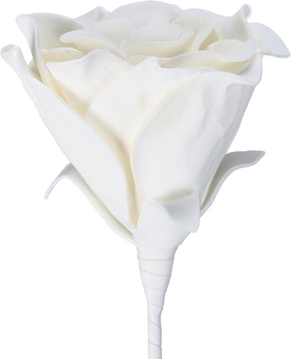 Immagine prodotto EGLO LIVING Molave (65 cm)