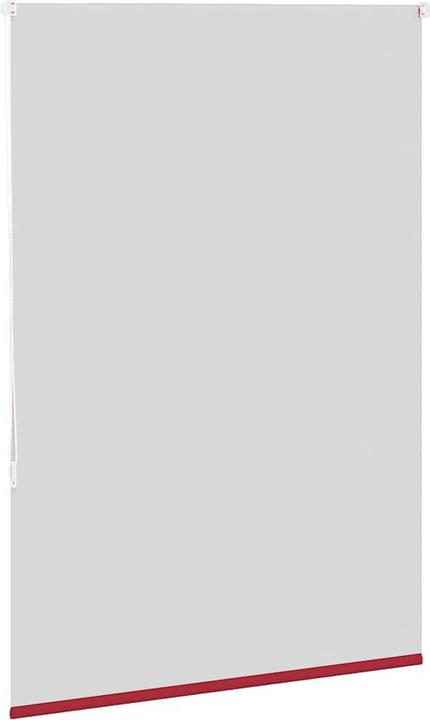Actual product image vidaXL Verdunkelungsrollo (105 x 150 cm)