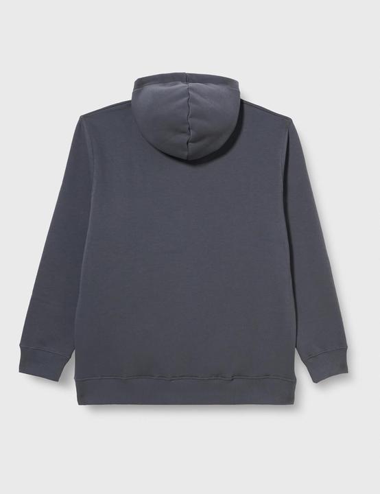 Actual product image Alpha Industries Basic Hoody Rainbow Reflective Print (XXL)