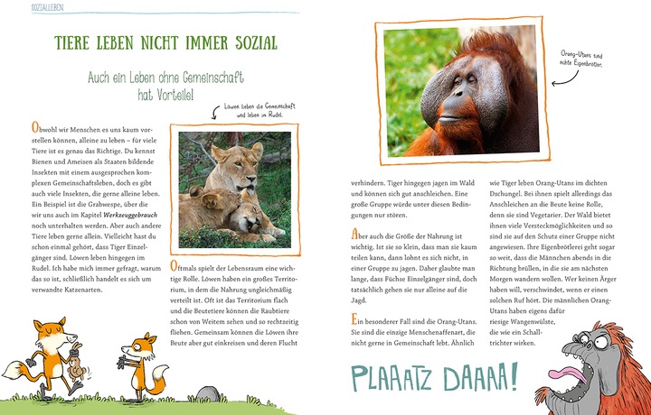 Produktbild Wie Tiere denken und fühlen (Deutsch, Karsten Brensing, 2019)
