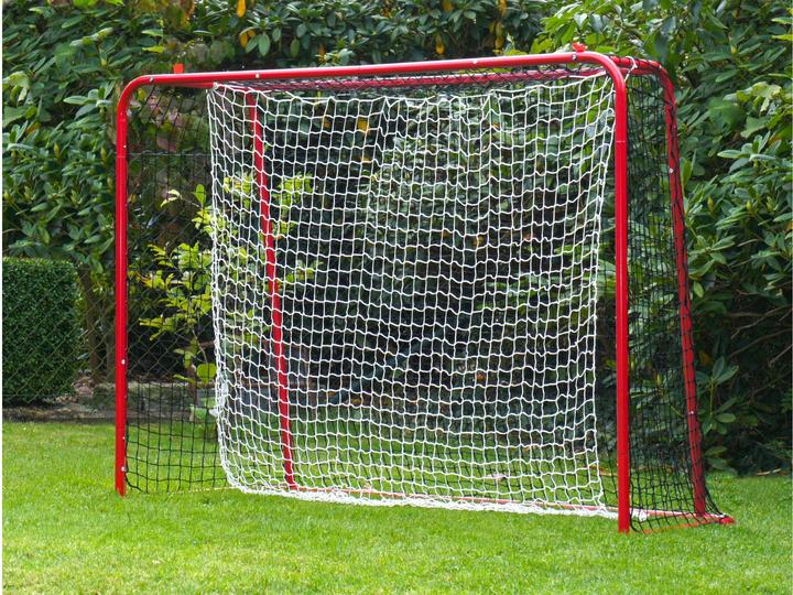 Image du produit Hudora But d'unihockey