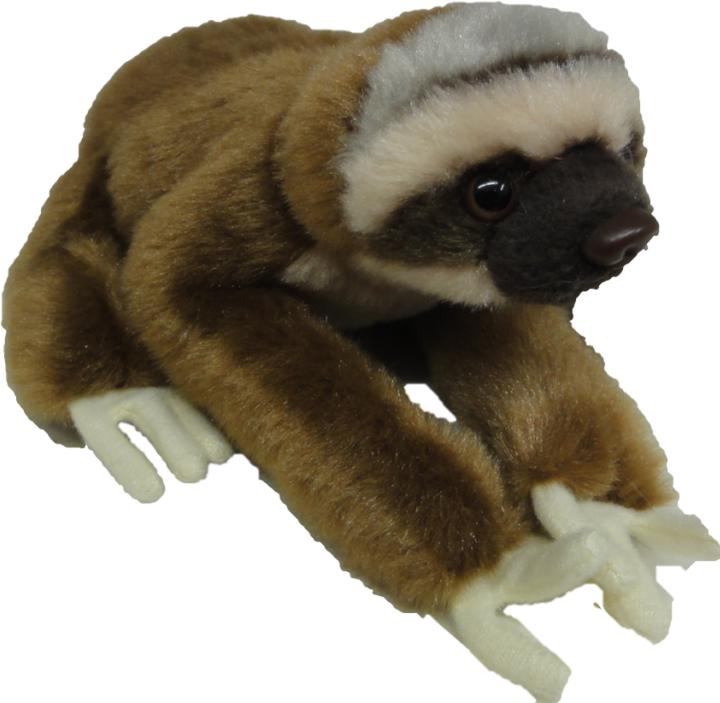 Actual product image National Geographic Baby Sloth 17 cm