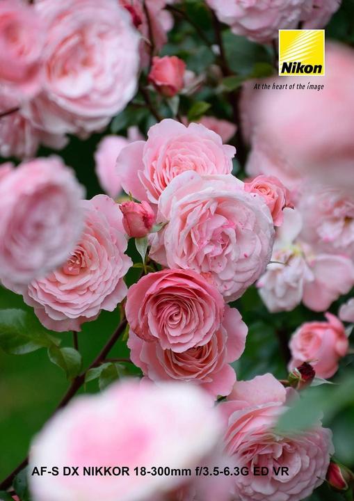 Produktbild Nikon AF-S Nikkor 18-300mm f/3.5-6.3G ED DX VR (Nikon F, APS-C / DX)