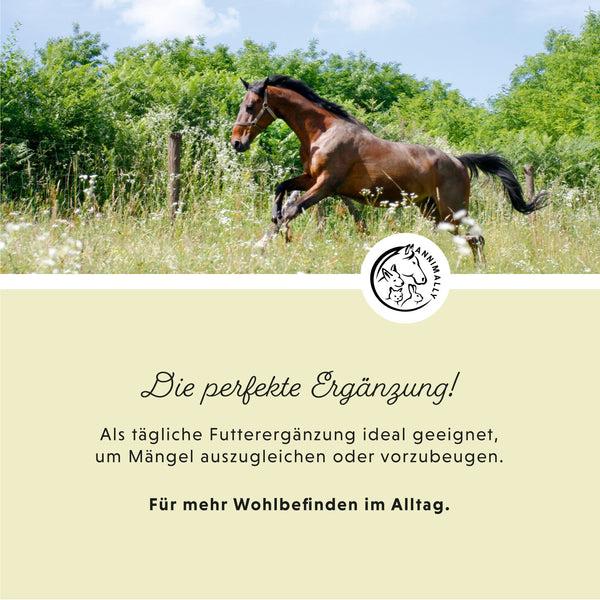 Produktbild Annimally Leinöl (1 x, 500 g)