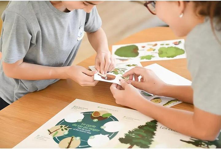 Immagine prodotto Poppik Sticker Lernposter Bäume