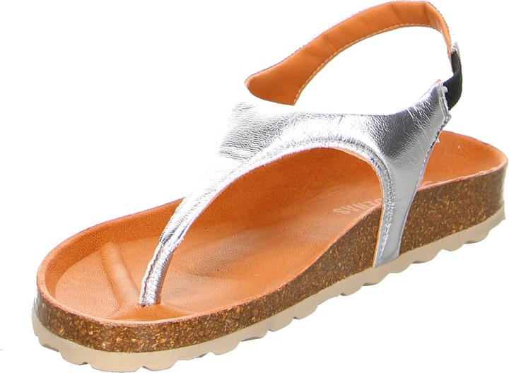 Produktbild Verbenas REAGAN Plata (39)