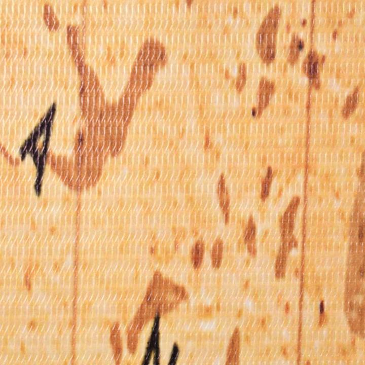 Immagine prodotto vidaXL Raumteiler