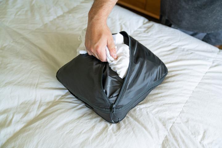 Actual product image Wandrd Packing Cube, Large