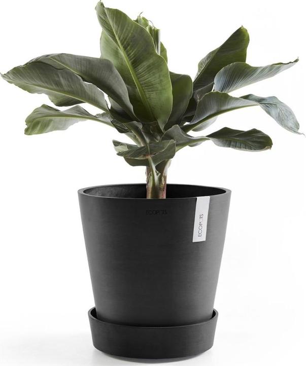 Produktbild Ecopots Saucer on Wheels