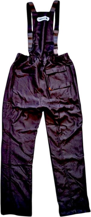 Actual product image Oregon Schnittschutzlatzhose Yukon Gr. L (L)