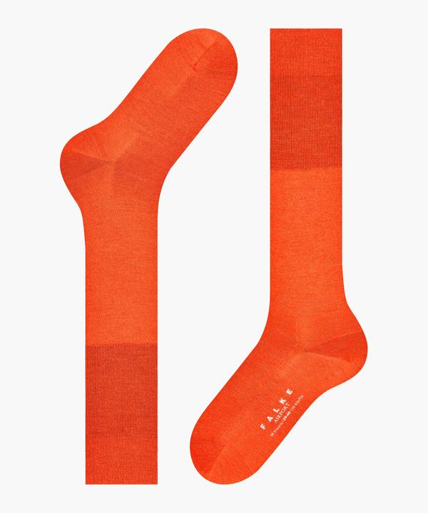 Immagine prodotto Falke Airport KH (43 - 44)