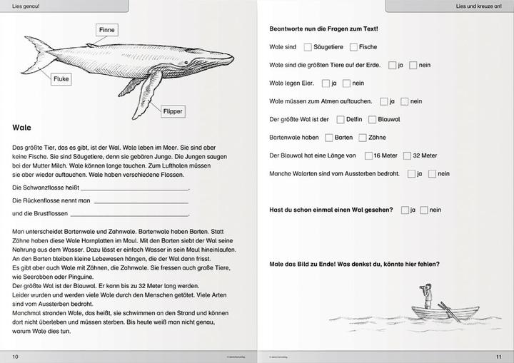 Produktbild Ich kann lesen 3. Schüler-Arbeitsheft für die 2. und 3. Klasse (Deutsch, Katrin Langhans, Peter Schultz, 2010)